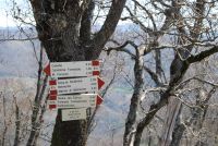Monte cucuzzo  Aprile 2018 (32)
